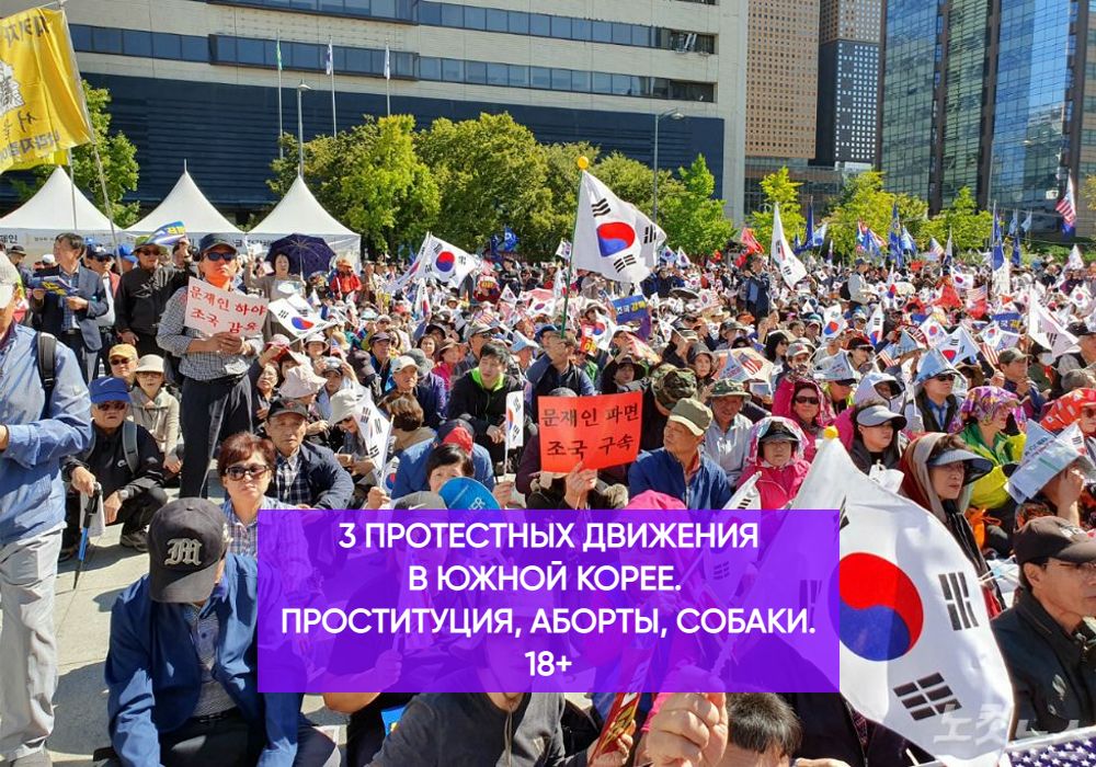 3 протестных движения в Южной Корее. Проституция, аборты, собаки. 18+