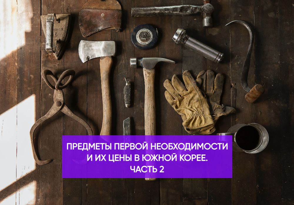 Книги первой необходимости. Предметы первой необходимости. Предметы экскурсовода.